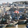 Industrial fishing generally is systematically depleting Fish Stocks in the world