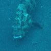 Grouper caught alive by poisons destroy reefs to feed Live Seafood clients