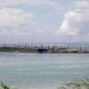 Dolphins and other Sea life are confined to pens to perform for tourists 